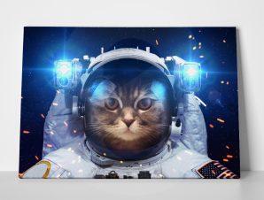 Πίνακας CAT IN OUTER SPACE