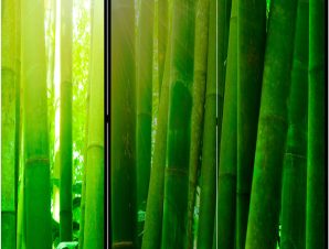 Διαχωριστικό με 3 τμήματα – Sun and bamboo II [Room Dividers]